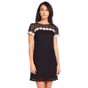 Adrianna Papell Lace Shift Dress